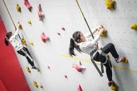 《DOTA2》TI14 总决赛中国战队 XG 2：3 憾负 Falcons