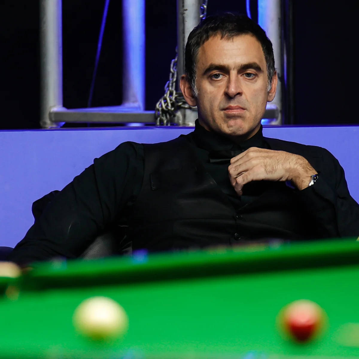 会让自己在 会让自己在