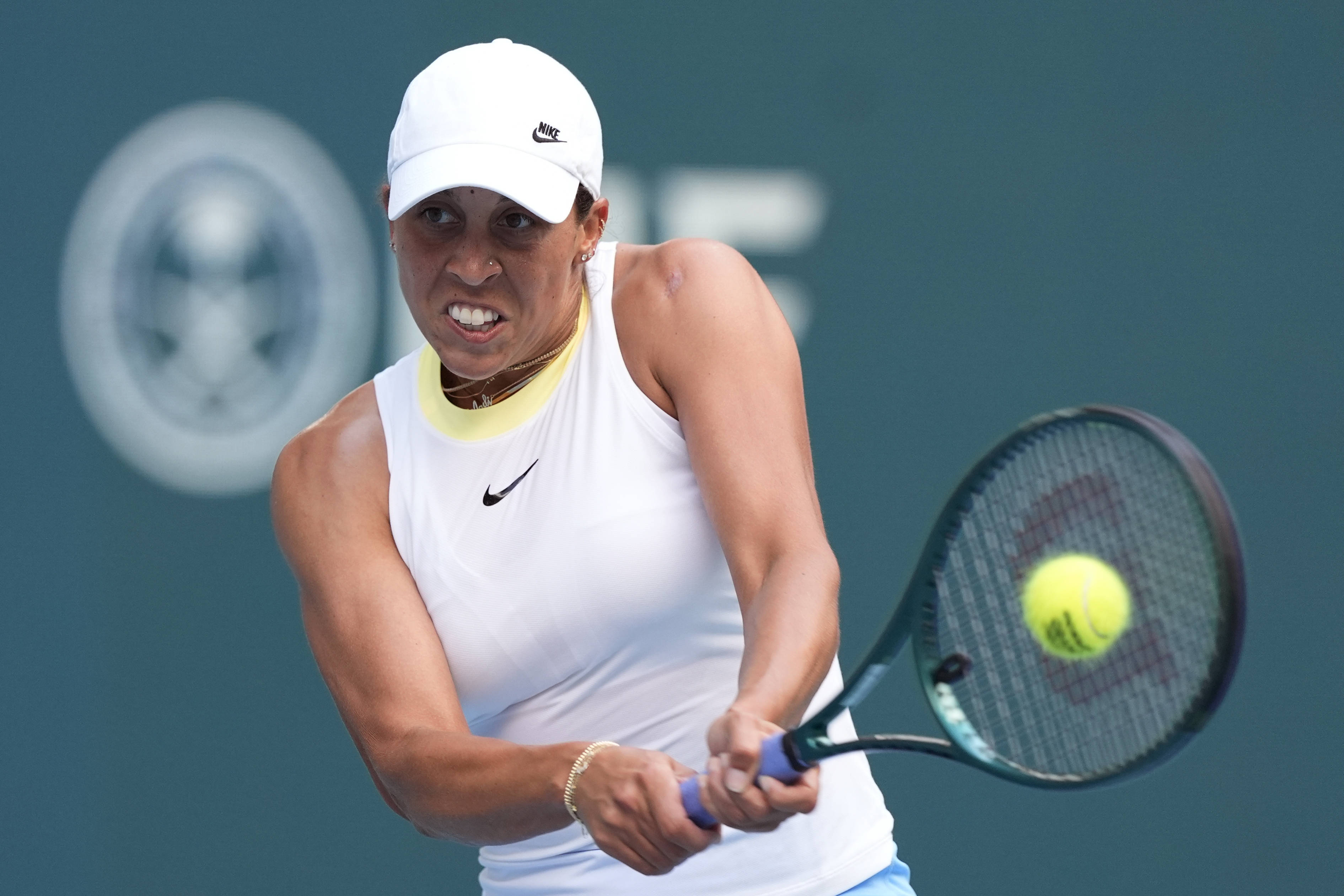 家的足球迷 家的足球迷