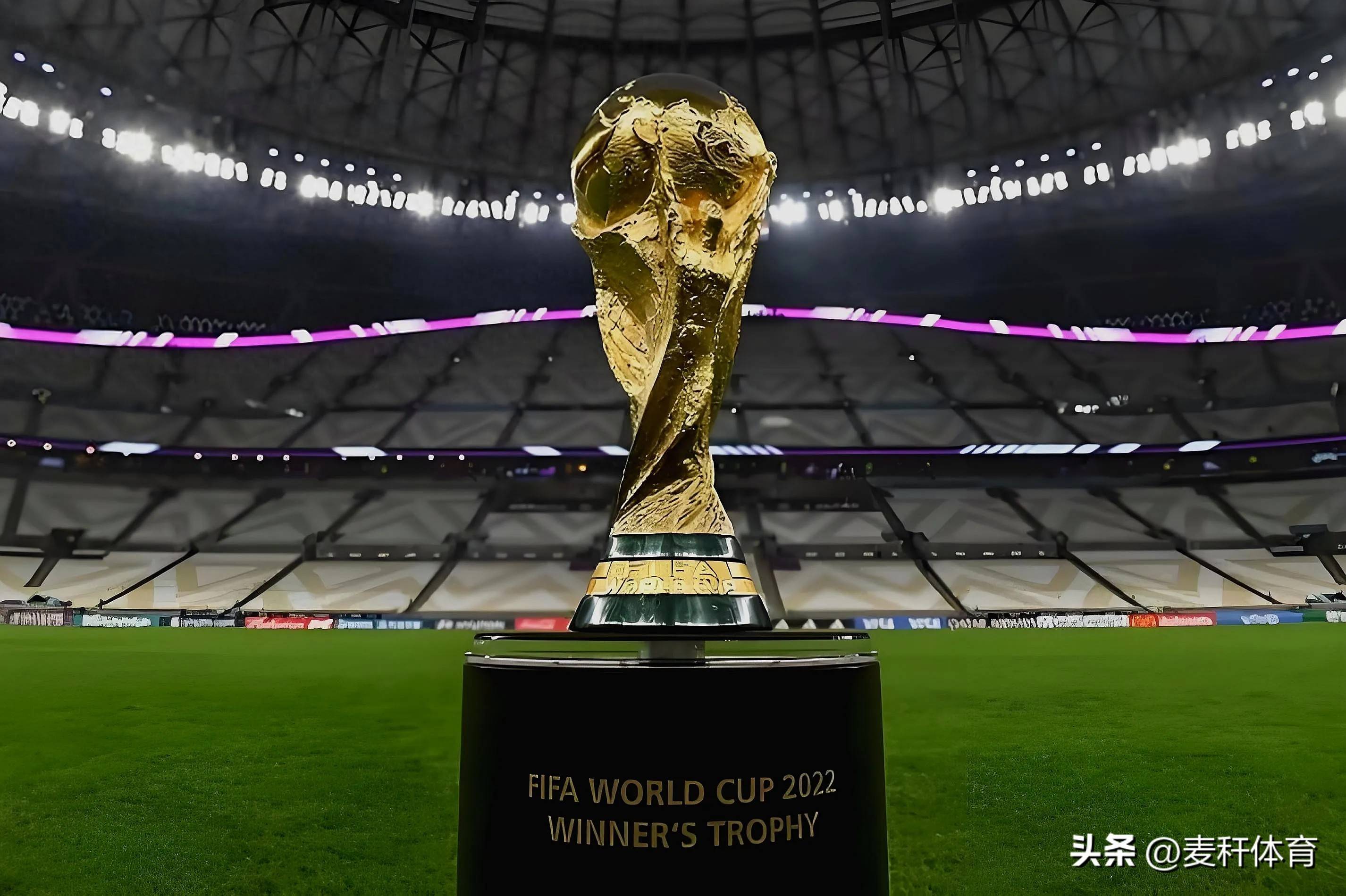 发挥和顽强 发挥和顽强